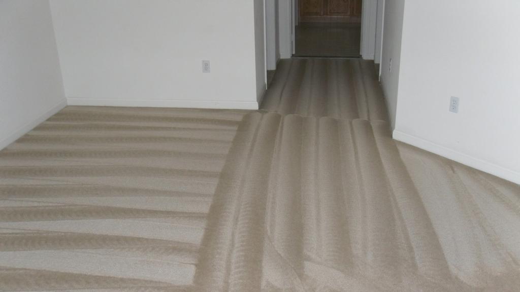 Cleaning Company Carpet Cleaning Company Reviews
